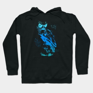 Miracle Owl Hoodie